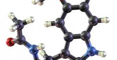 allergologia molecolare