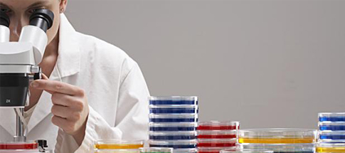 Ricerca giapponese su allergia alimentare e dermatite atopica