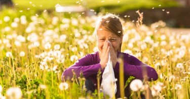 allergie in estate