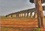 Allergia all'ambrosia a Roma