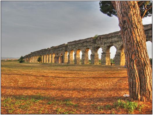 Allergia all'ambrosia a Roma