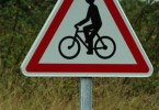 ciclista olandese rischia per puntura di imenottero