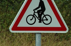 ciclista olandese rischia per puntura di imenottero