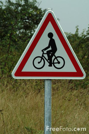ciclista olandese rischia per puntura di imenottero