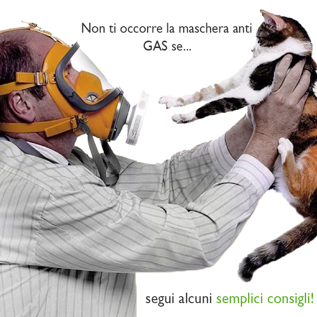 Foto di un uomo che indossa una maschera a GAS e tiene in mano il suo gatto