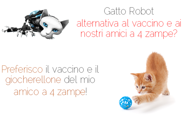 Vaccino al gatto, gatto robot o gatto reale e vaccino?