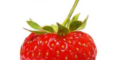 fragole e allergia