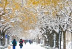 allergie in inverno