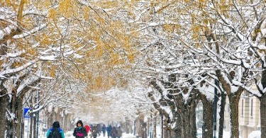 allergie in inverno