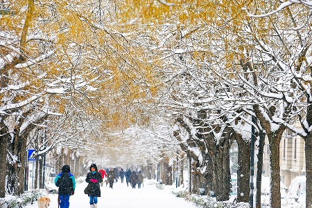 allergie in inverno