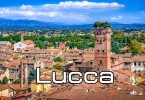 Visita allergologica Lucca
