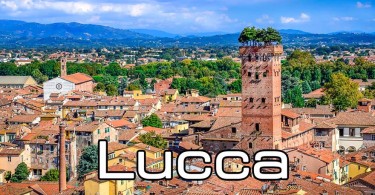 Visita allergologica Lucca