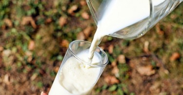allergia al latte